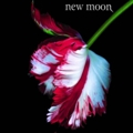 newmoon-120908